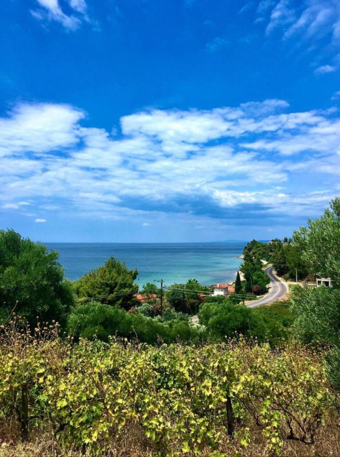 Ambelos Village Seaview And Pool Villa
