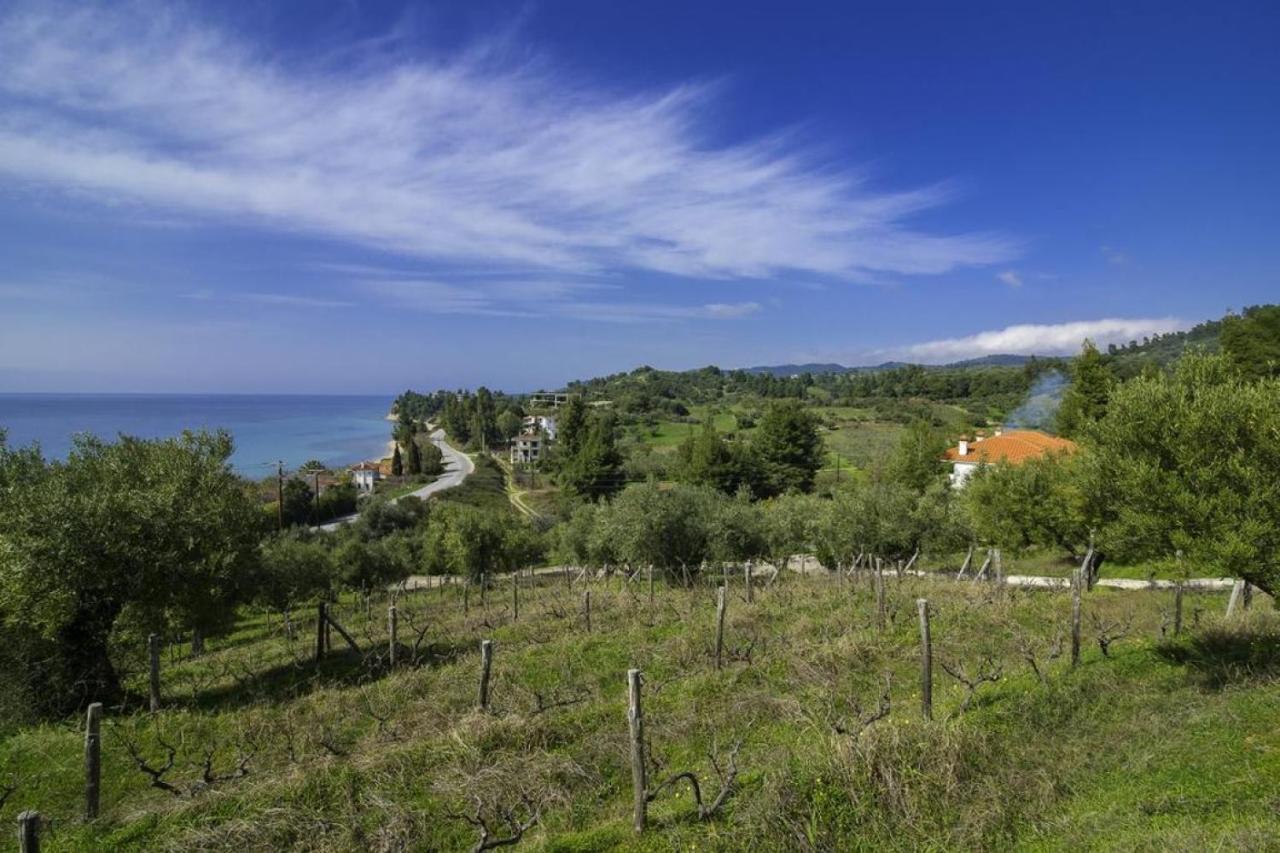 Ambelos Village Seaview And Pool *